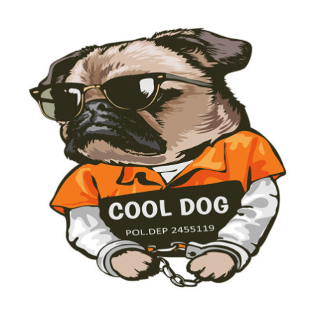 T-shirt Basique Homme - 100% Coton, 190g/m²