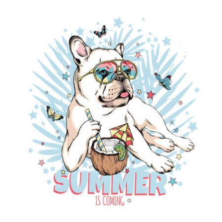 T-shirt Basique Homme - 100% Coton, 190g/m²