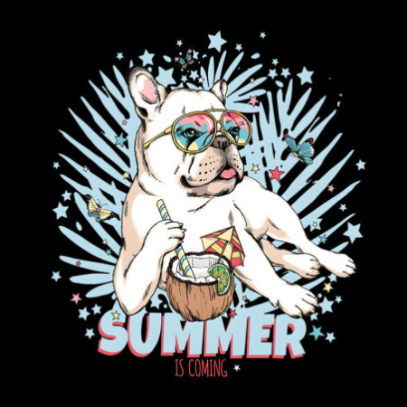 T-shirt Basique Homme - 100% Coton, 190g/m²