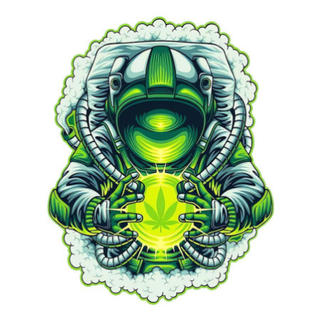 T-shirt Basique Homme - 100% Coton, 190g/m²