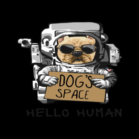 T-shirt Basique Homme - 100% Coton, 190g/m²