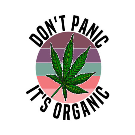 T-shirt Basique Homme - 100% Coton, 190g/m²